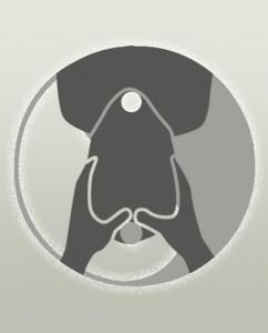 Trattamenti di bilanciamento CranioSacrale